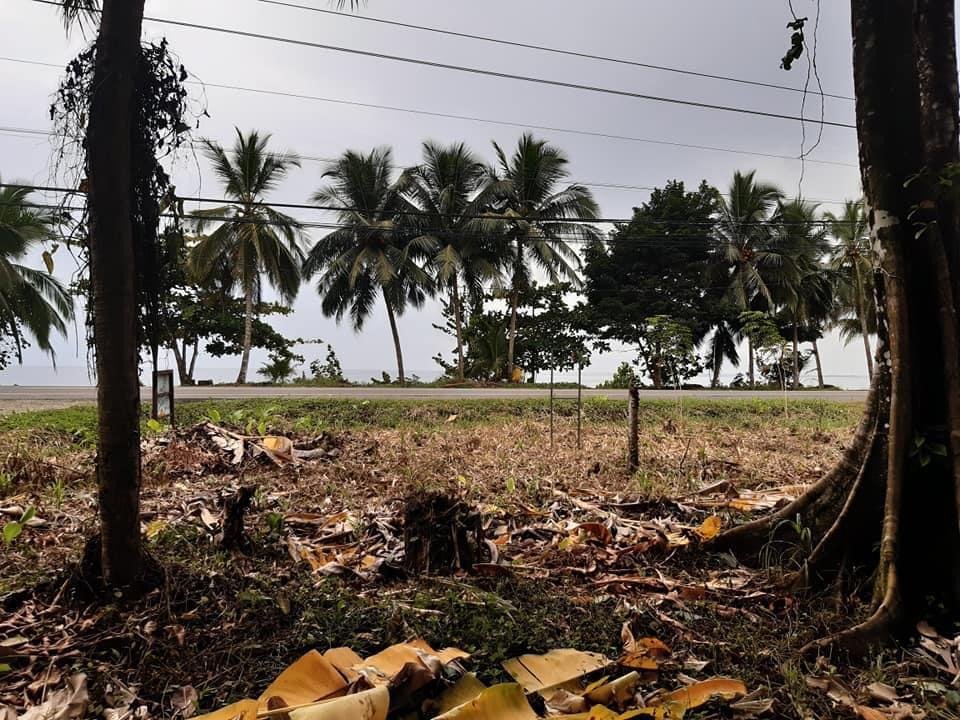 Beach Front , Puerto Viejo, 1.125 m2 - Imagen 3