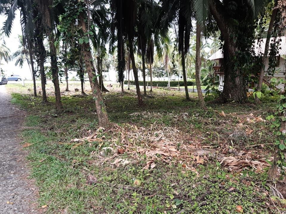 Beach Front , Puerto Viejo, 1.125 m2 - Imagen 5